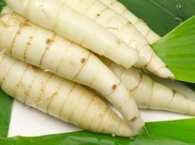 ubi pengganti nasi untuk diet