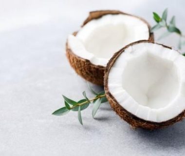 cara berbisnis kelapa tua