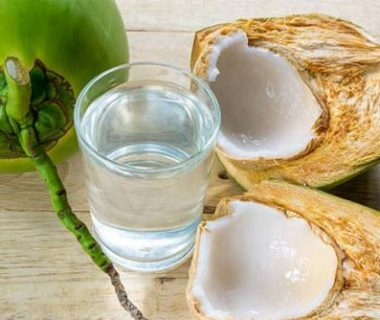 cara usaha kelapa muda