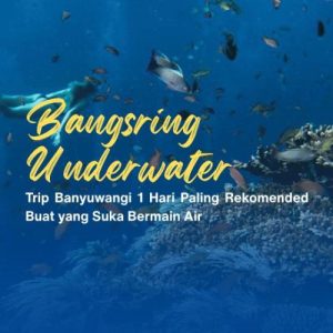 Trip Banyuwangi 1 Hari Paling Rekomended Buat yang Suka Bermain Air